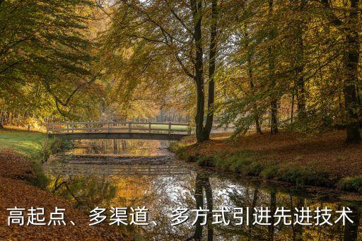 高起點(diǎn)、多渠道、多方式引進(jìn)先進(jìn)技術(shù)
