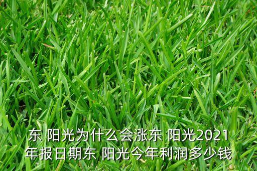 東 陽光為什么會(huì)漲東 陽光2021年報(bào)日期東 陽光今年利潤多少錢