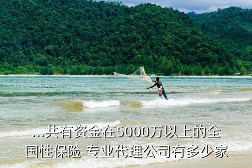 ...共有資金在5000萬以上的全國性保險(xiǎn) 專業(yè)代理公司有多少家