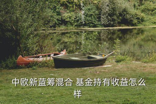  中歐新藍(lán)籌混合 基金持有收益怎么樣