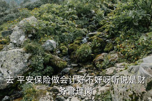 中國平安保險公司財務部職責