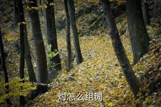河北灼耀新能源公司,河北新能源公司名單