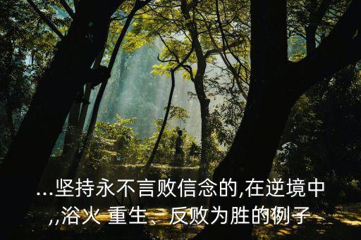 ...堅(jiān)持永不言敗信念的,在逆境中,,浴火 重生、反敗為勝的例子