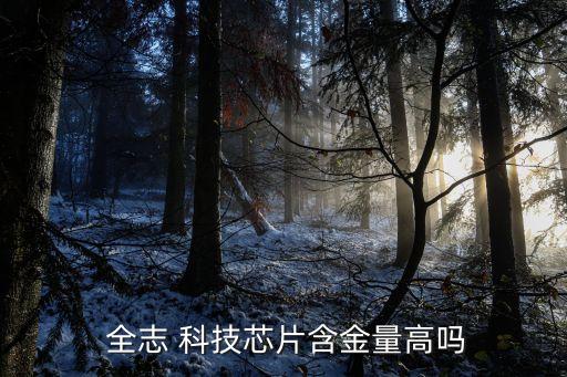 全志科技公司怎么樣,達志科技公司