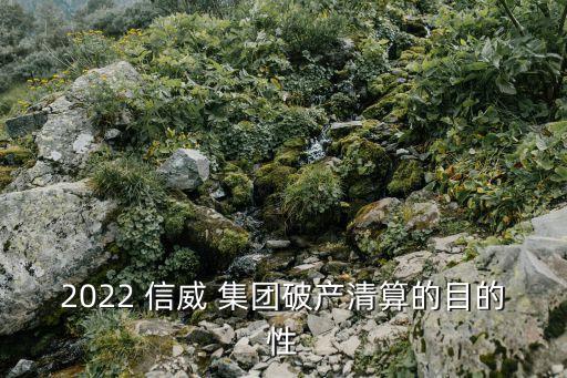 2022 信威 集團破產清算的目的性