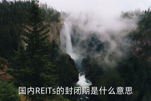 國內REITs的封閉期是什么意思