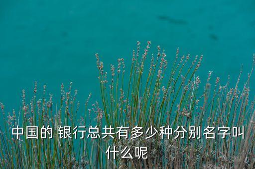 中國(guó)的 銀行總共有多少種分別名字叫什么呢