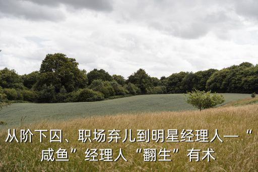 從階下囚、職場棄兒到明星經(jīng)理人—“咸魚”經(jīng)理人“翻生”有術(shù)