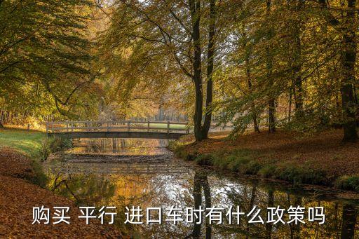 購買 平行 進(jìn)口車時有什么政策嗎