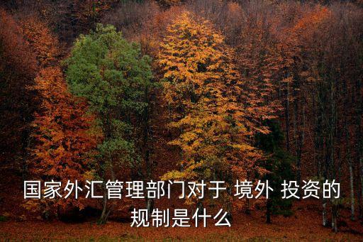 國家外匯管理部門對(duì)于 境外 投資的規(guī)制是什么