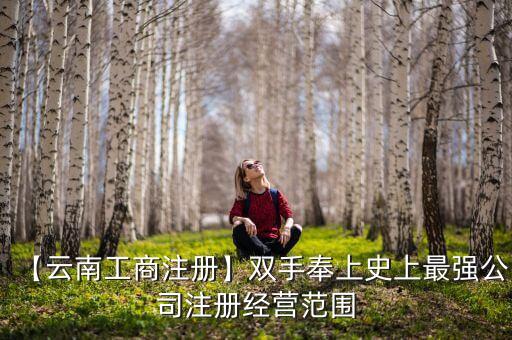 中國數(shù)碼信息有限公司財務(wù)報告,三一集團(tuán)有限公司2022年財務(wù)報告