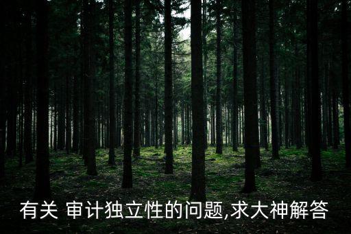有關(guān) 審計(jì)獨(dú)立性的問(wèn)題,求大神解答