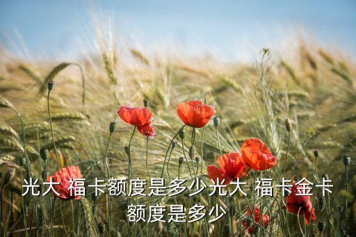 光大 福卡額度是多少光大 ?？ń鹂~度是多少