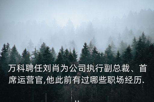  萬科聘任劉肖為公司執(zhí)行副總裁、首席運營官,他此前有過哪些職場經歷...