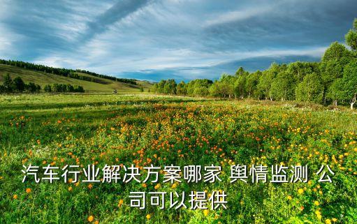 汽車(chē)行業(yè)解決方案哪家 輿情監(jiān)測(cè) 公司可以提供