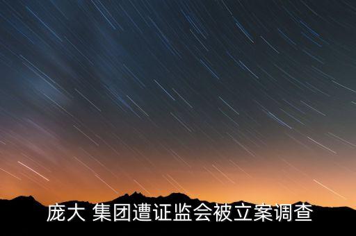  龐大 集團(tuán)遭證監(jiān)會(huì)被立案調(diào)查