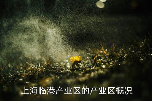 上海ea怡亞通,在上海怡亞通的工作感受