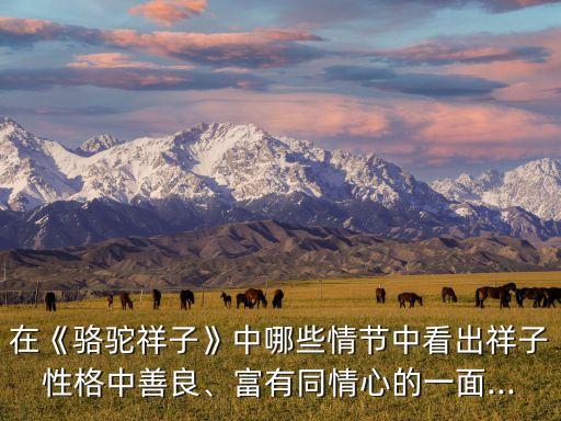 在《駱駝祥子》中哪些情節(jié)中看出祥子性格中善良、富有同情心的一面...