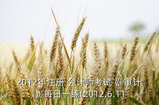 存貨審計(jì)注冊(cè)會(huì)計(jì)師鄒翔銀河公司