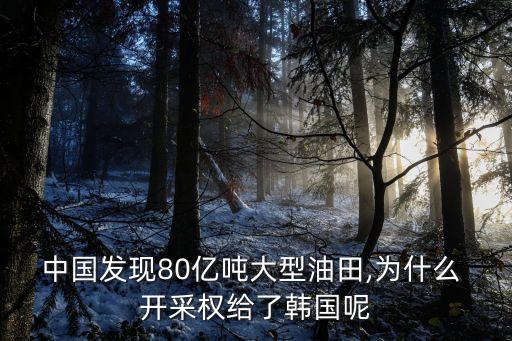 中國(guó)發(fā)現(xiàn)80億噸大型油田,為什么 開采權(quán)給了韓國(guó)呢