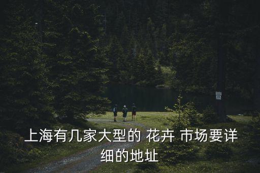 上海大龍花卉市場(chǎng),上?；ɑ苁袌?chǎng)一覽表