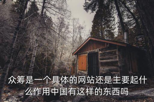  眾籌是一個(gè)具體的網(wǎng)站還是主要起什么作用中國(guó)有這樣的東西嗎