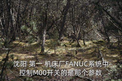 上海第一機(jī)床廠y225說(shuō)明書(shū)