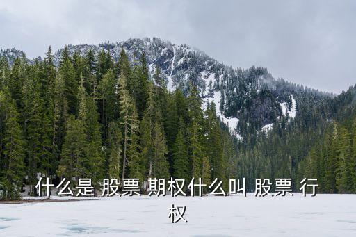 股票期權(quán)的行權(quán)價(jià)格是什么意思,公司給了10萬(wàn)期權(quán)有用嗎