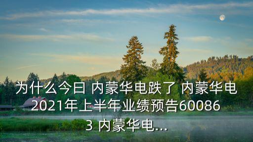 為什么今曰 內(nèi)蒙華電跌了 內(nèi)蒙華電2021年上半年業(yè)績預告600863 內(nèi)蒙華電...
