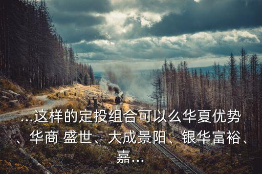 ...這樣的定投組合可以么華夏優(yōu)勢、華商 盛世、大成景陽、銀華富裕、嘉...