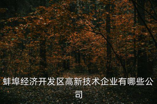 蚌埠經(jīng)濟開發(fā)區(qū)高新技術企業(yè)有哪些公司