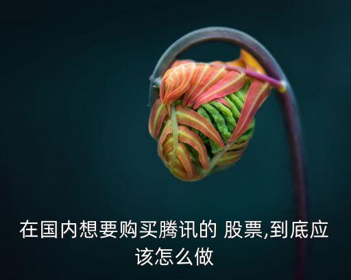 在國內想要購買騰訊的 股票,到底應該怎么做