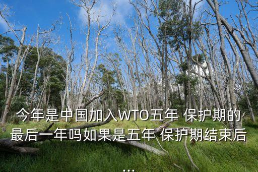 今年是中國加入WTO五年 保護期的最后一年嗎如果是五年 保護期結束后...