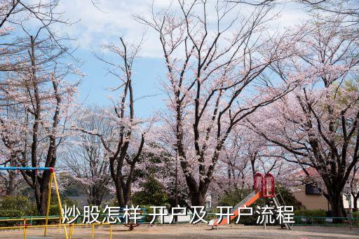 南沙股票開(kāi)戶(hù),股票開(kāi)戶(hù)哪家證券好
