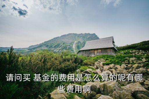 請問買 基金的費(fèi)用是怎么算的呢有哪些費(fèi)用啊