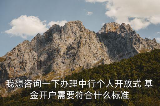 我想咨詢一下辦理中行個人開放式 基金開戶需要符合什么標準