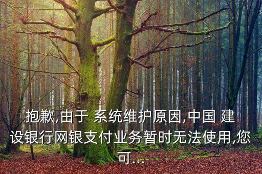 抱歉,由于 系統(tǒng)維護原因,中國 建設銀行網(wǎng)銀支付業(yè)務暫時無法使用,您可...