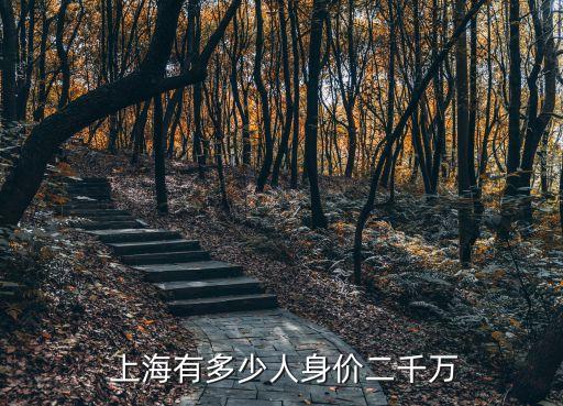 上海資產過1億,上海上億資產人有多少