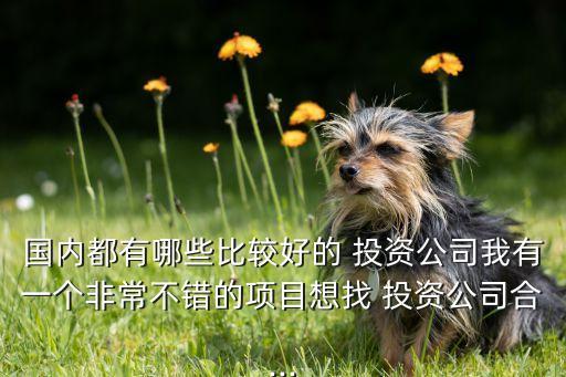 國內(nèi)都有哪些比較好的 投資公司我有一個(gè)非常不錯(cuò)的項(xiàng)目想找 投資公司合...