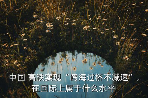 中國(guó) 高鐵實(shí)現(xiàn)“跨海過(guò)橋不減速”,在國(guó)際上屬于什么水平