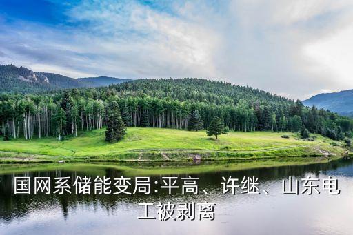 國(guó)網(wǎng)系儲(chǔ)能變局:平高、許繼、山東電工被剝離