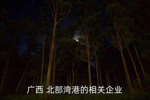 北部灣旅游股份有限公司好不好