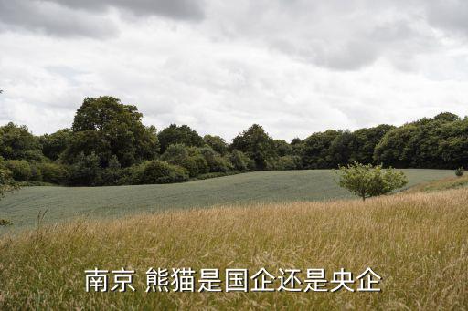 熊貓電子集團地塊,中國熊貓電子集團是國企嗎