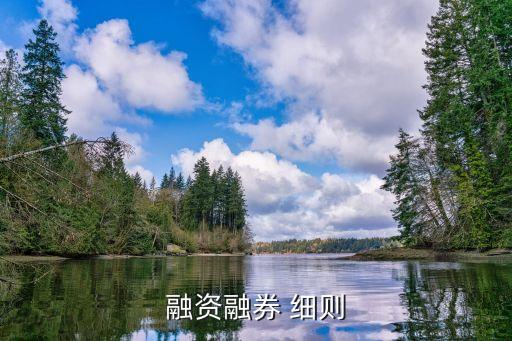 上海證券交易所證券上市審核實施細(xì)則