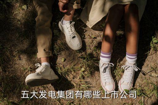 五大發(fā)電集團(tuán)有哪些上市公司