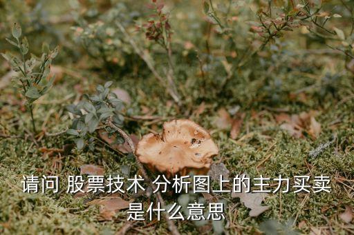 請問 股票技術 分析圖上的主力買賣是什么意思