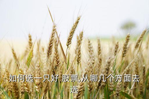 如何選一只好 股票,從哪幾個(gè)方面去選