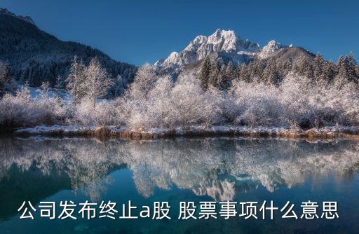 公司發(fā)布終止a股 股票事項(xiàng)什么意思