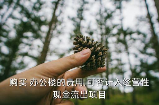 購買 辦公樓的費用,可否計入經營性現金流出項目