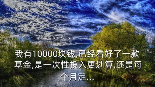 我有10000塊錢,已經(jīng)看好了一款 基金,是一次性投入更劃算,還是每個(gè)月定...